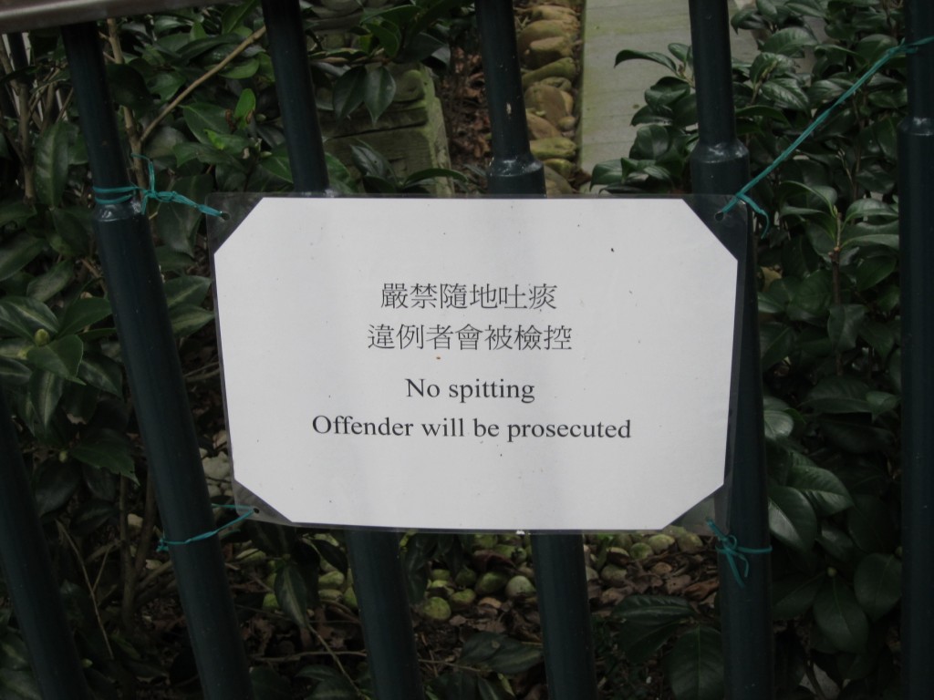 Things not to do in HK, Part 1: No Spitting.