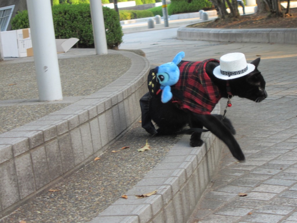 Then we found the dressed cat. [2010/09/20 - Hiroshima/Peace Memorial Park]