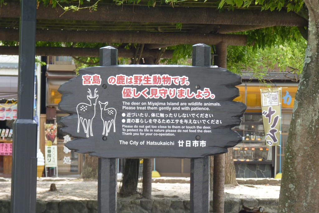 You are not supposed to touch or feed the deer...not that anyone cares. [2010/09/21 - Miyajima]