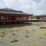 Looks like during high tide the water reaches up here. [2010/09/21 - Miyajima]