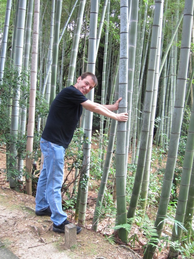 Checking out the bamboo... [2010/09/23 - Kyoto/Fushimi Inari-taisha]