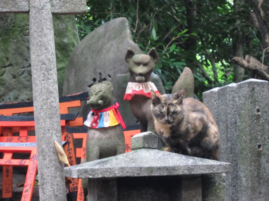 Seems like cats and foxes are in charge here. [2010/09/23 - Kyoto/Fushimi Inari-taisha]