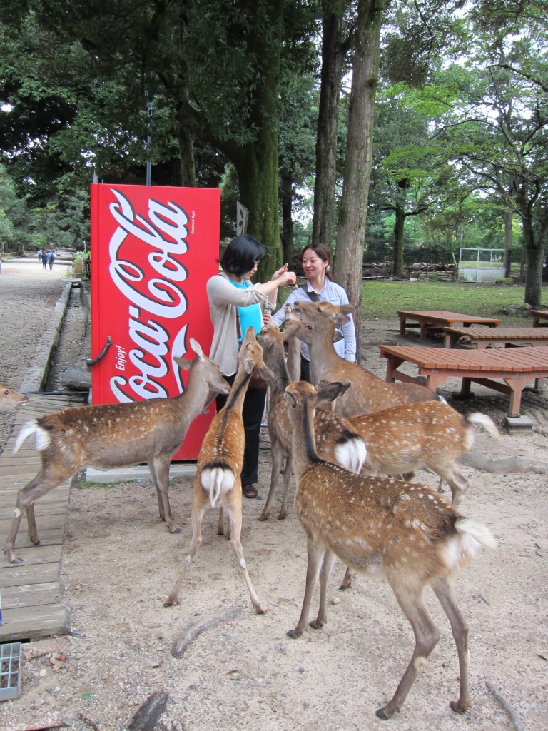 The deer is out to get you. [2010/09/24 - Nara]