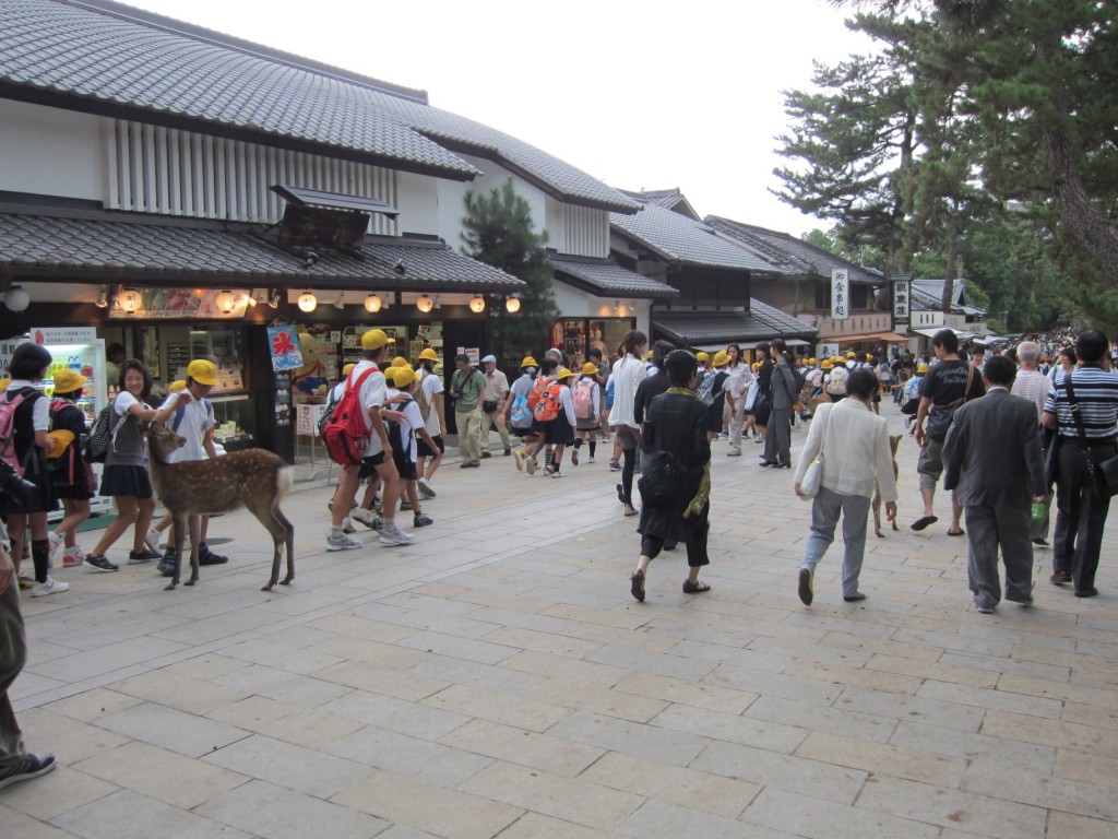 The Yellow Horde arrives (Nara is seriously overrun with tourists). [2010/09/24 - Nara]