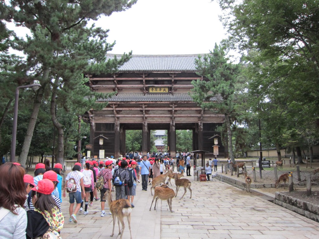 'The Historic Monuments of Nara' are yet another UNESCO World Heritage site. [2010/09/24 - Nara]