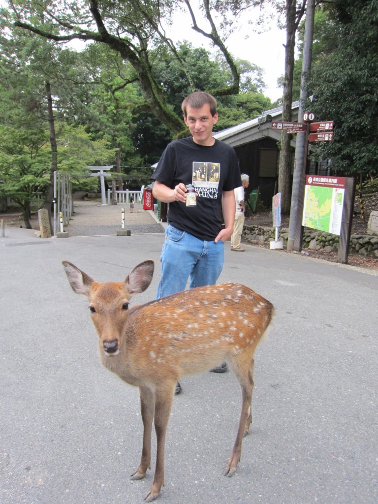 At least the deer don't seem to be interested in coffee. [2010/09/24 - Nara]