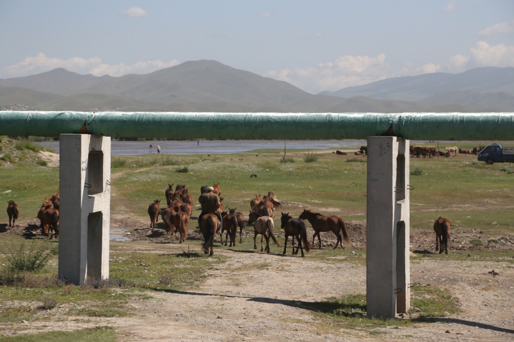 On the road back to Ulaanbaatar (2014/07/22 11:06:36+08:00)