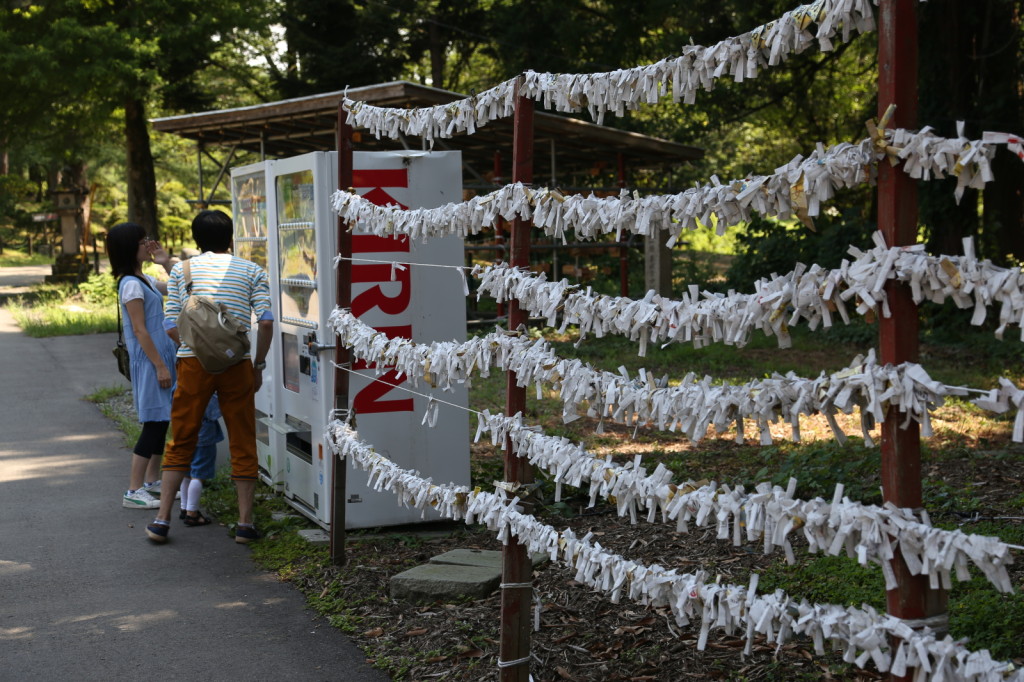 Aoshi Shrine, Nagaoka (2014/08/03 13:50:14+09:00)