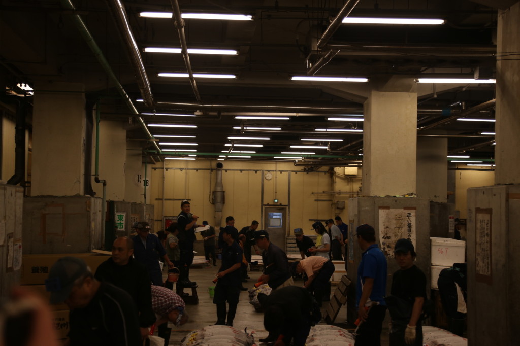 Tuna auction, Tsukiji Fish Market, Tokyo (2014/08/12 05:40:19+09:00)