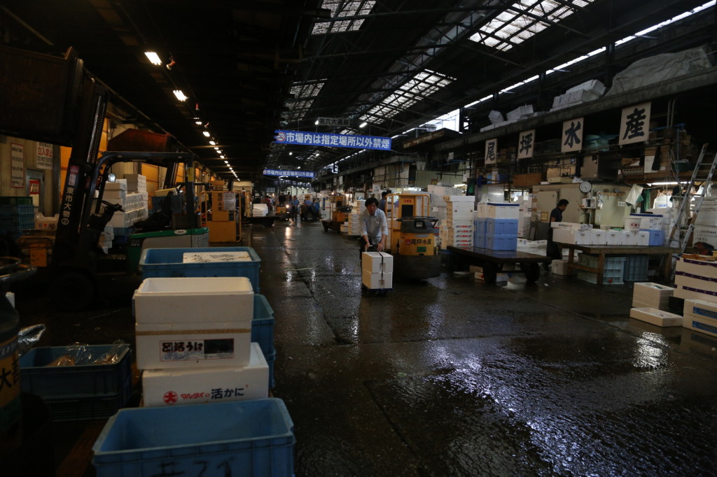 Tuna auction, Tsukiji Fish Market, Tokyo (2014/08/12 05:46:33+09:00)