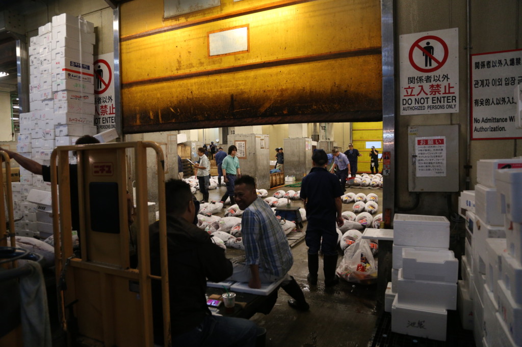 Tuna auction, Tsukiji Fish Market, Tokyo (2014/08/12 05:46:45+09:00)