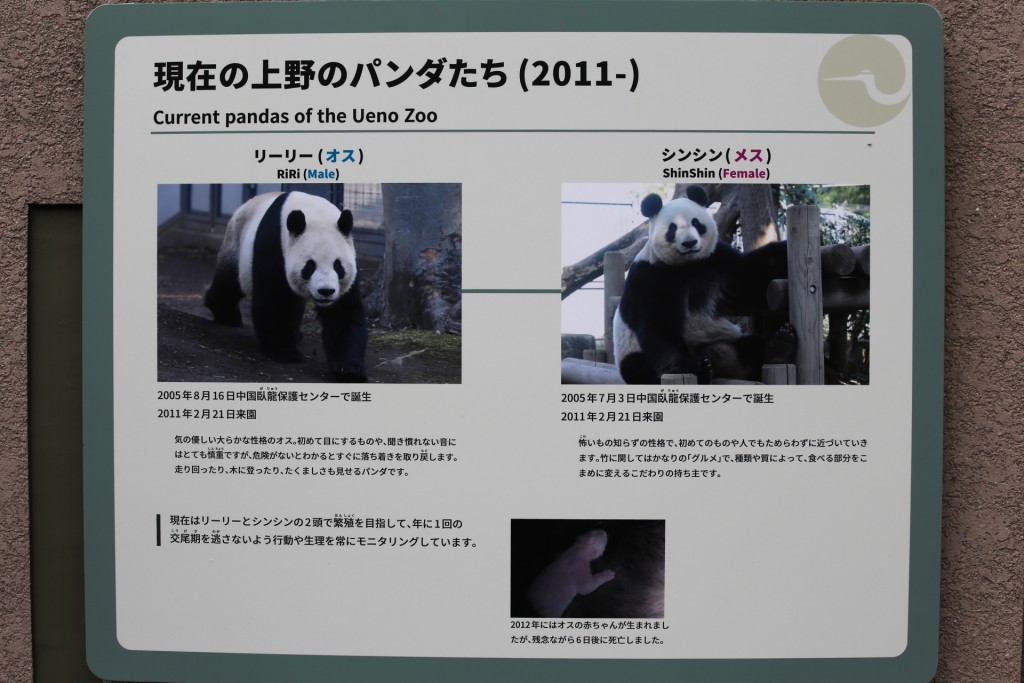 136-Panda_info_panels_1-20160502_094325_6d_img_3709_cropped_qual100_down1920