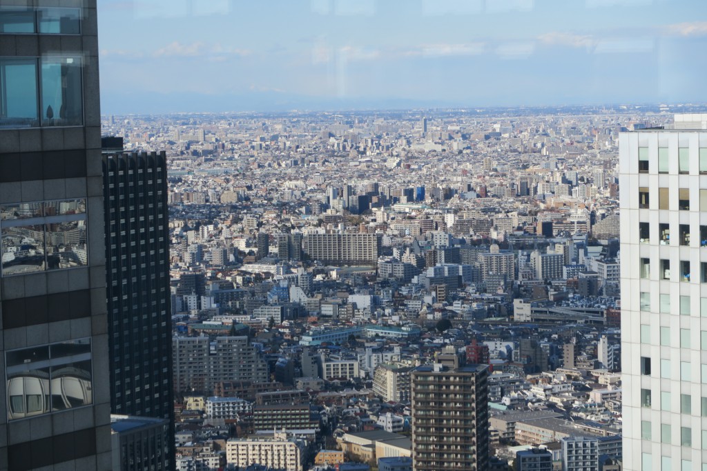 176-After_a_bag_check_and_a_short_elevator_ride_we_got_to_look_out_over_Tokyo-TZ2_JST_20170213_143243_g7x_img_5210_down1920