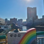 203-Decided_to_walk_over_the_Rainbow_Bridge_to_Odaiba-TZ2_JST_20170215_140115_g7x_img_5381